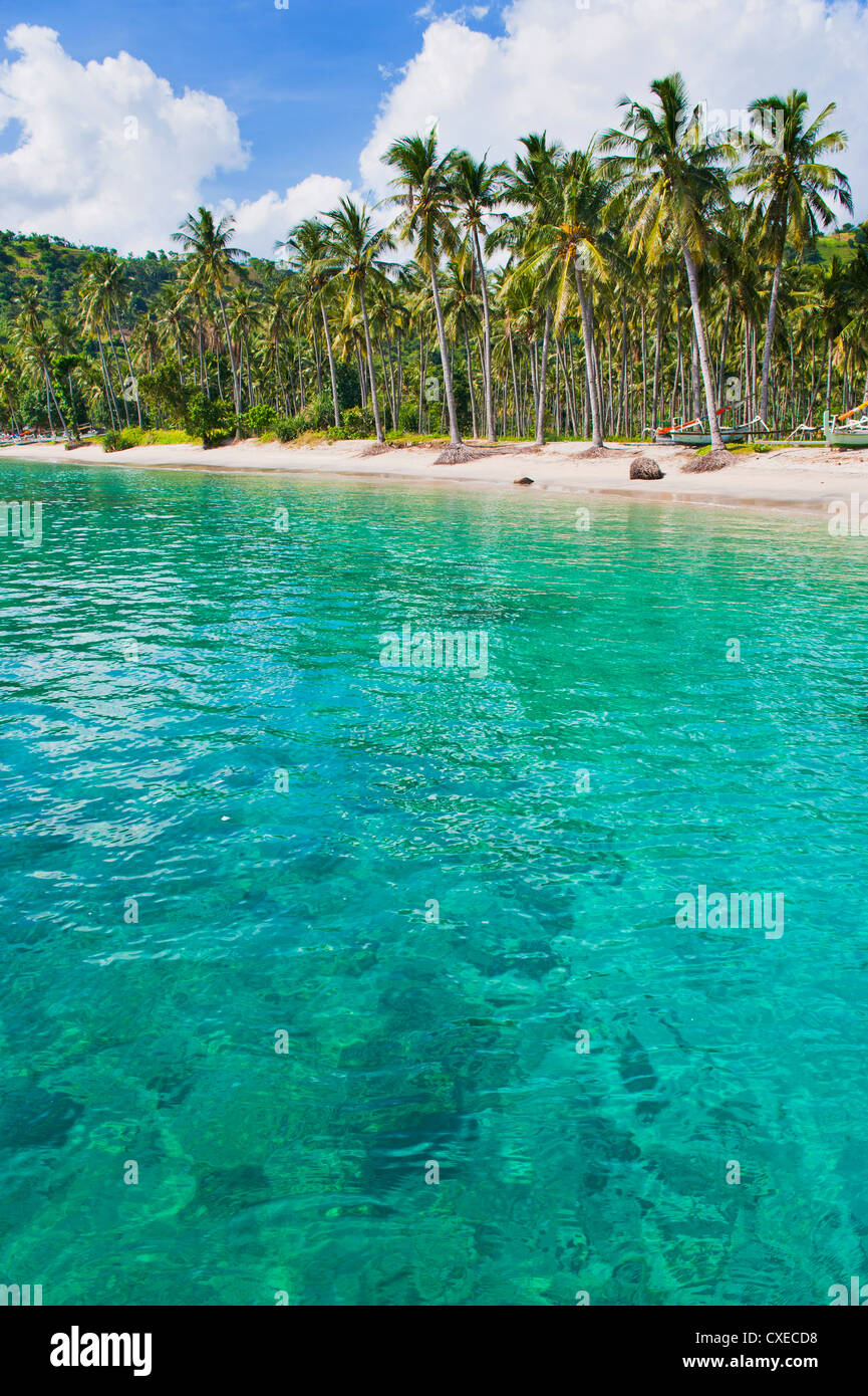 Palmiers et l'eau turquoise, Nippah Beach, Lombok, Nusa Tenggara Ouest, Indonésie, Asie du Sud, Asie Banque D'Images