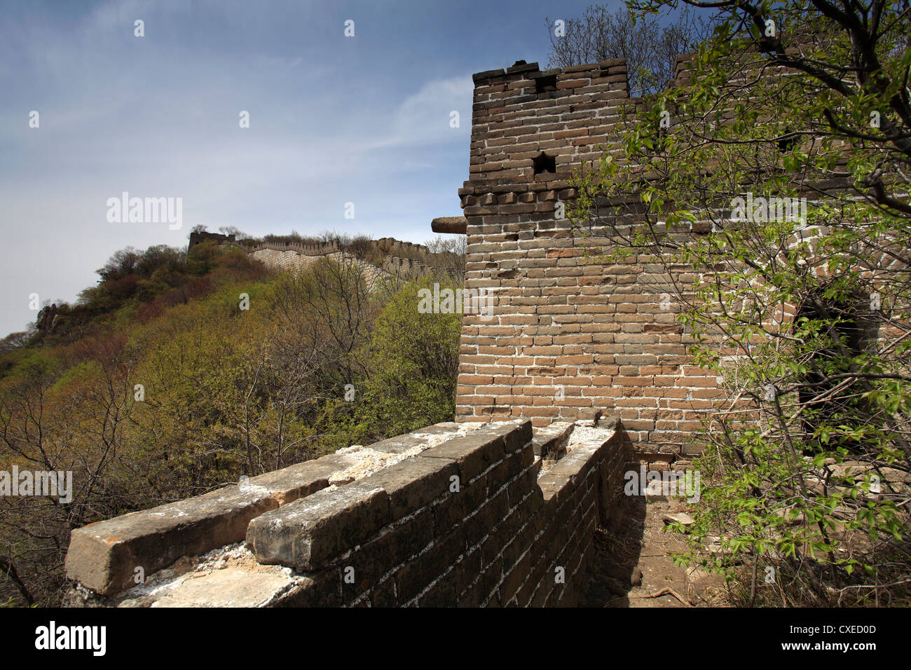 La section de Mutianyu de la Grande Muraille de Chine, Beijing, vallée de Mutianyu Provence, Chine, Asie. Banque D'Images