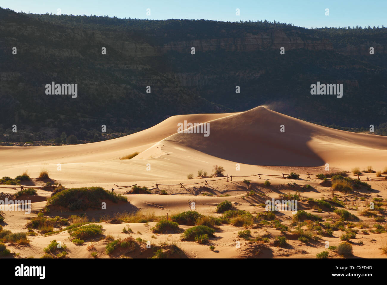 Les dunes de sable jaune orange Banque D'Images