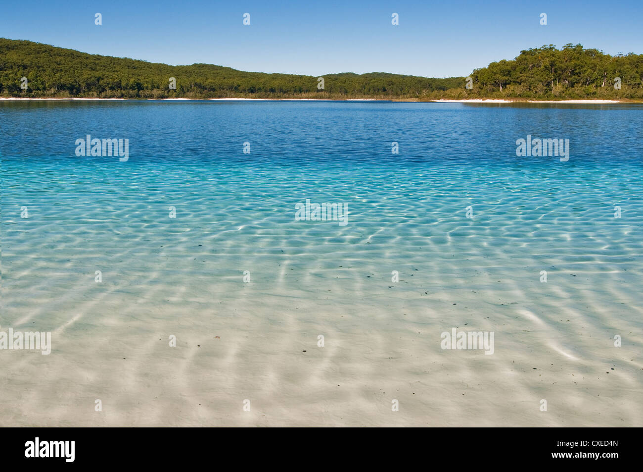 Différentes nuances de bleu au lac McKenzie sur la célèbre île Fraser. Banque D'Images