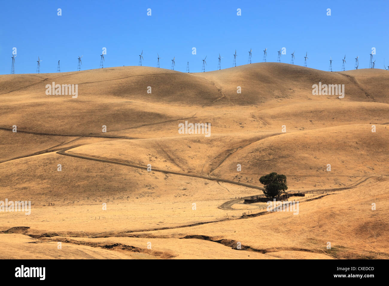 Les collines de la Californie. Banque D'Images