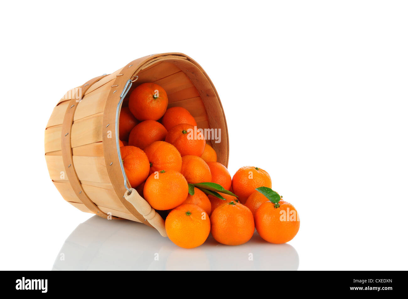 Un panier de Mandarines Clémentines incliné sur le côté avec des fruits sur la surface. Banque D'Images