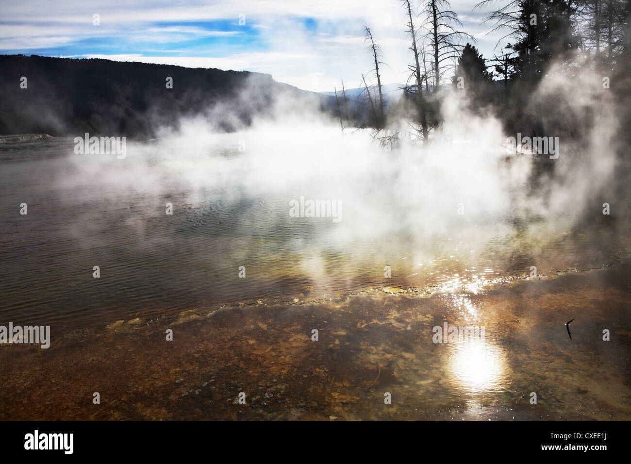 Sex le brouillard au-dessus de sources géothermiques Banque D'Images