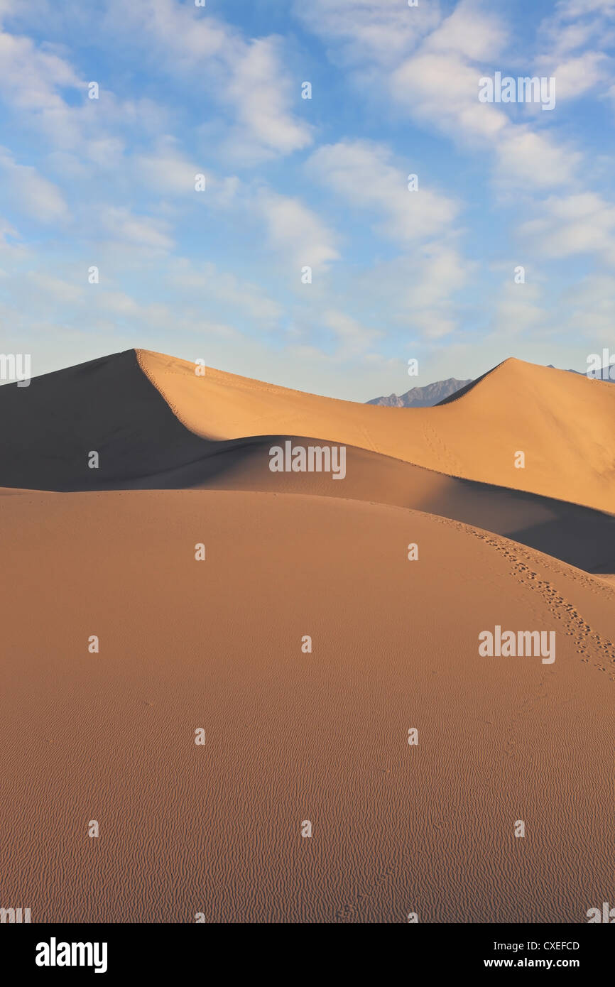 Dunes de sable allumé au lever du soleil Banque D'Images