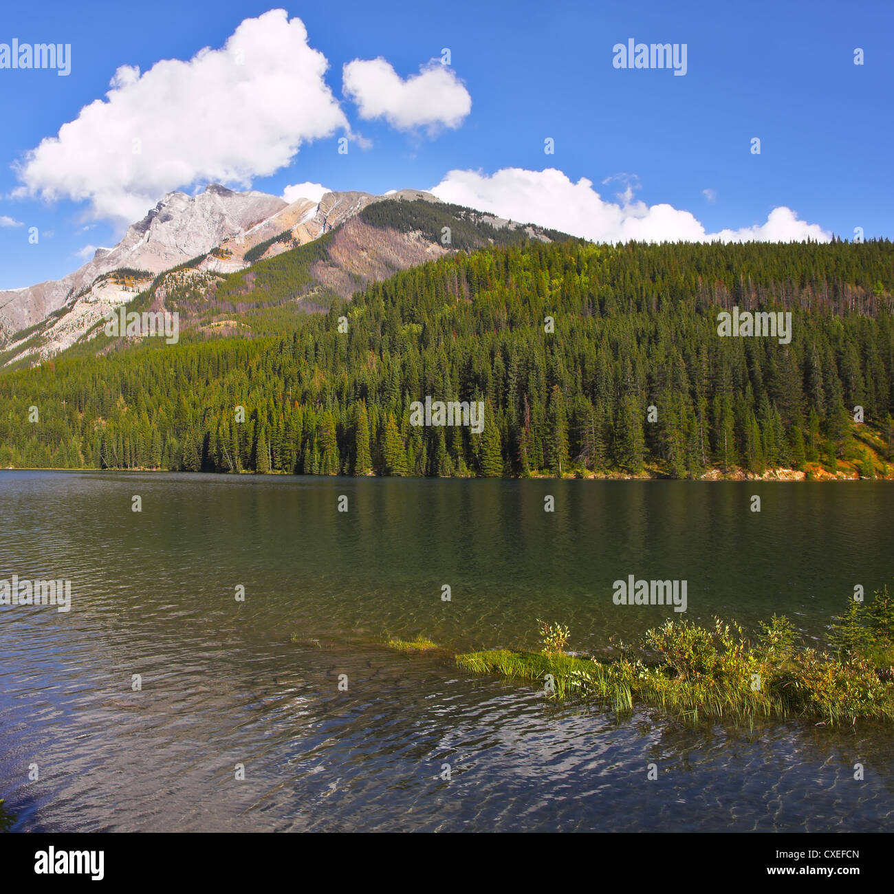 Magnifique lac dans le Nord de l'Amérique latine Banque D'Images