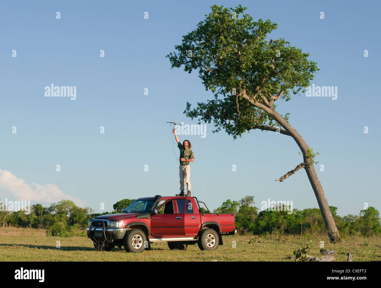 Arnaud Desbiez biologiste géant suivi de Tatous, Pantanal, Brésil Banque D'Images