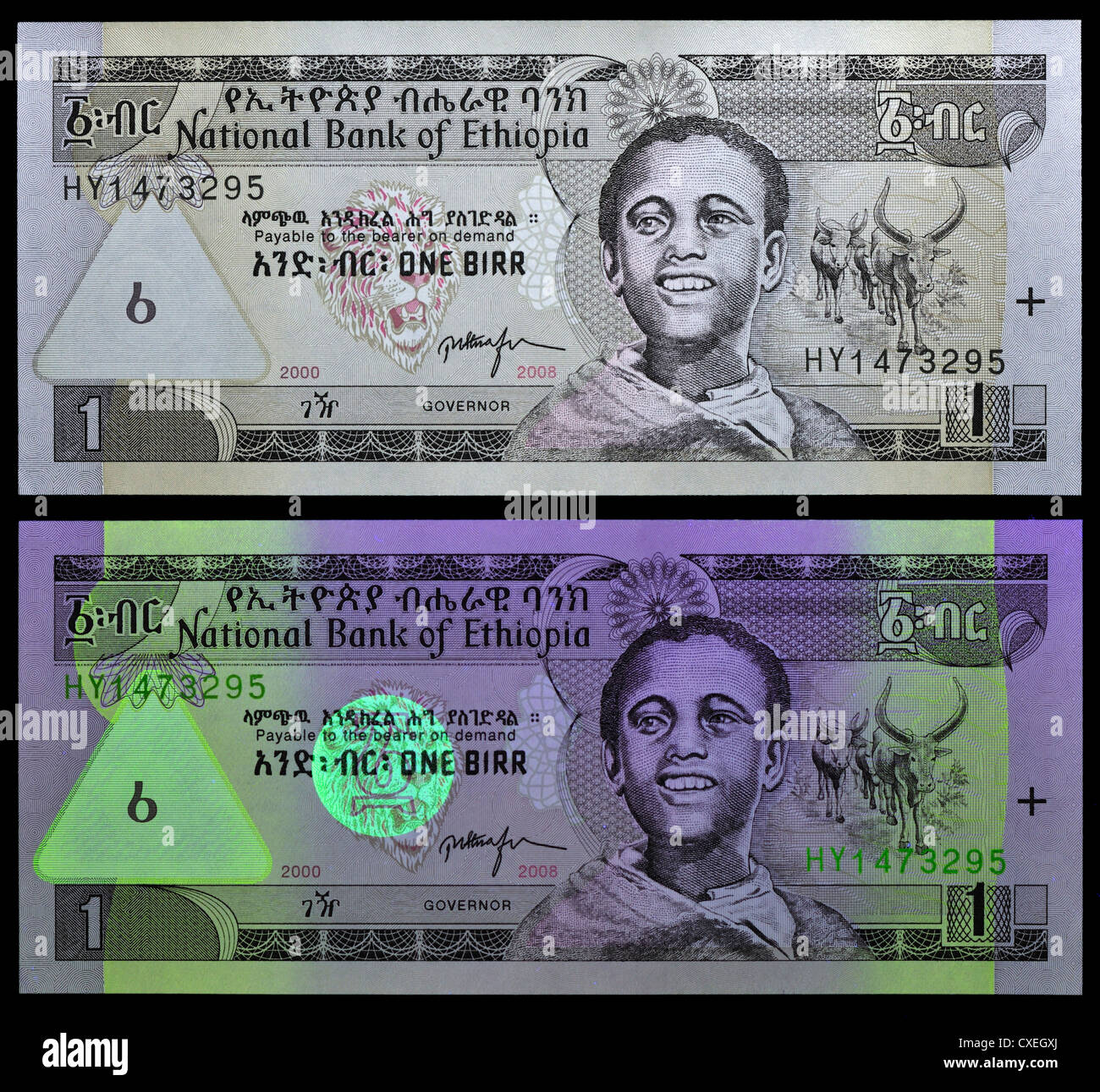 Vu des billets avec la lumière naturelle et la lumière UV, montrant les fonctions de sécurité. Une note de Birr, Éthiopie, 2000. Banque D'Images