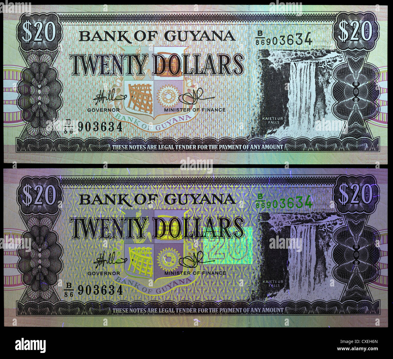 Vu des billets avec la lumière naturelle et la lumière UV, montrant les fonctions de sécurité. 20 Dollar note, Guyana, Banque D'Images