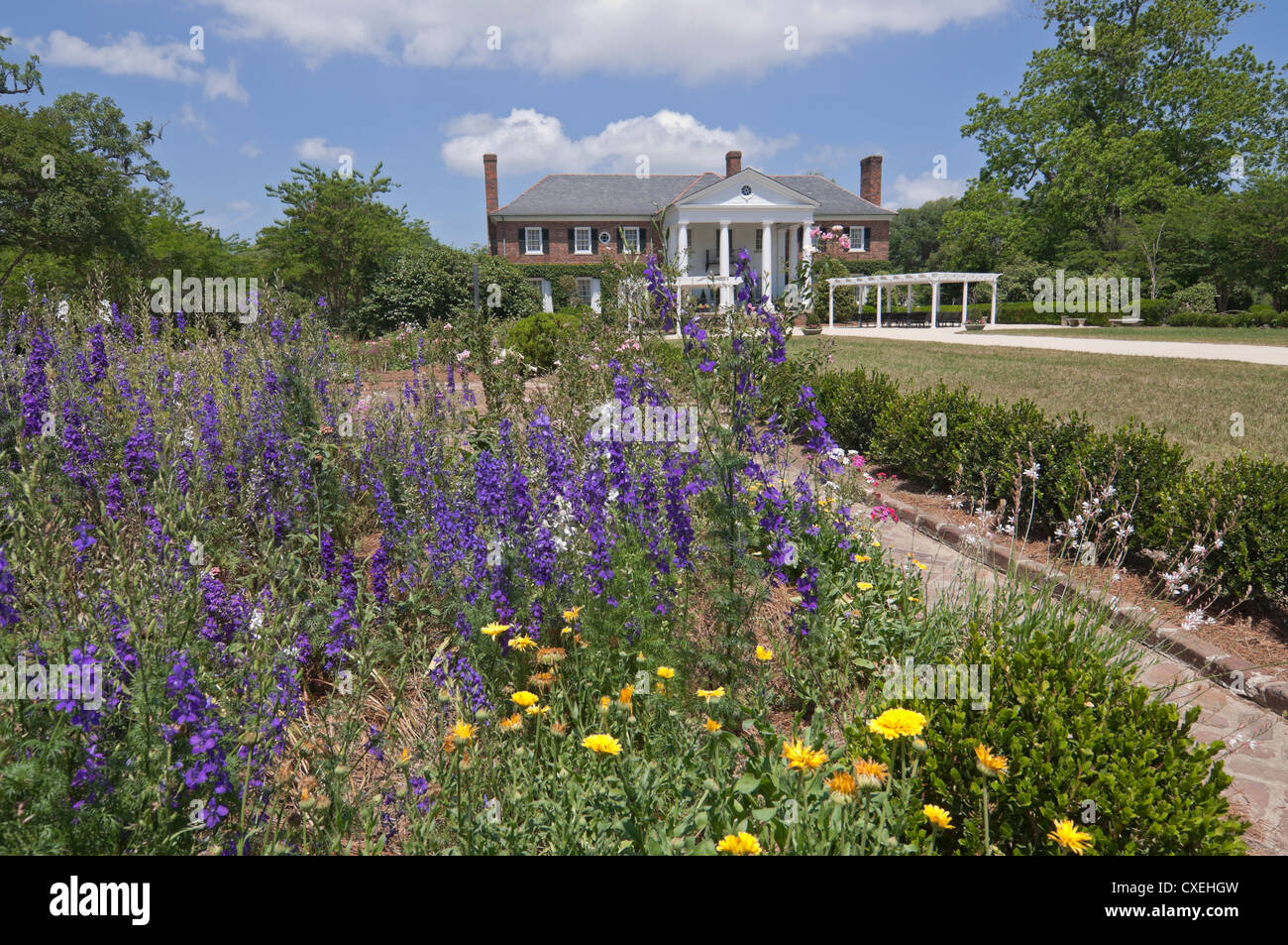 Style Antebellum Boone Hall Plantation près de Charleston, Caroline du Sud est inscrit sur le Registre National des Endroits Historiques. Banque D'Images