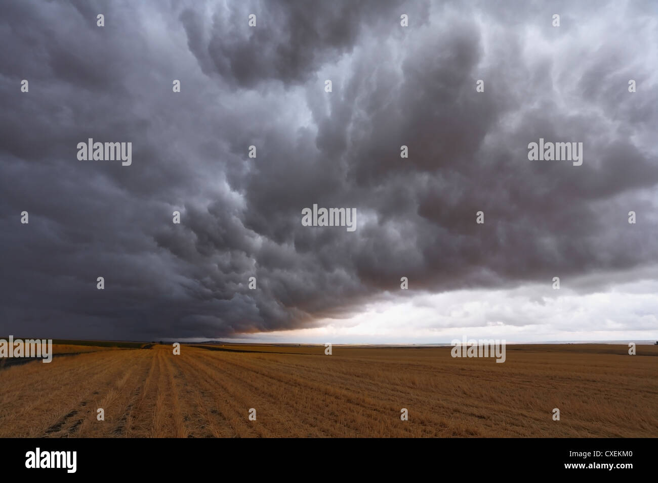 Un énorme et terrible storm cloud Banque D'Images