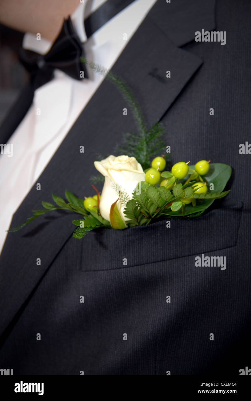 Boutonnière de mariage avec rose sur mans suite Banque D'Images