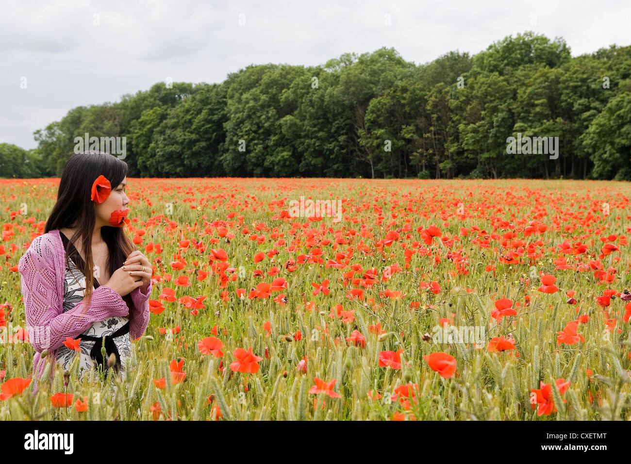 Jolie femme thaïlandaise avec Poppy dans ses cheveux dans un champ entouré de coquelicots Banque D'Images