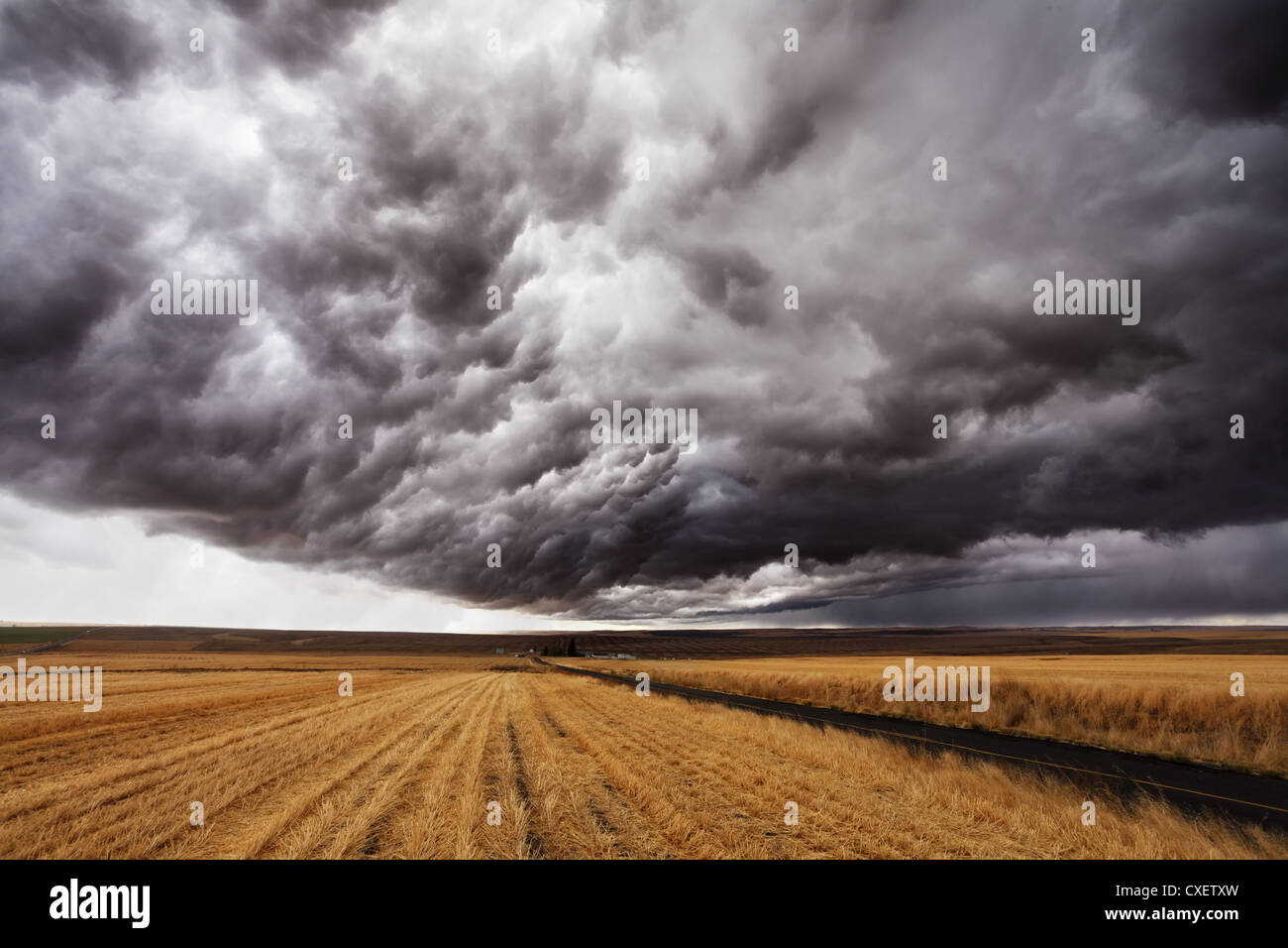 Avant de l’orage. Banque D'Images