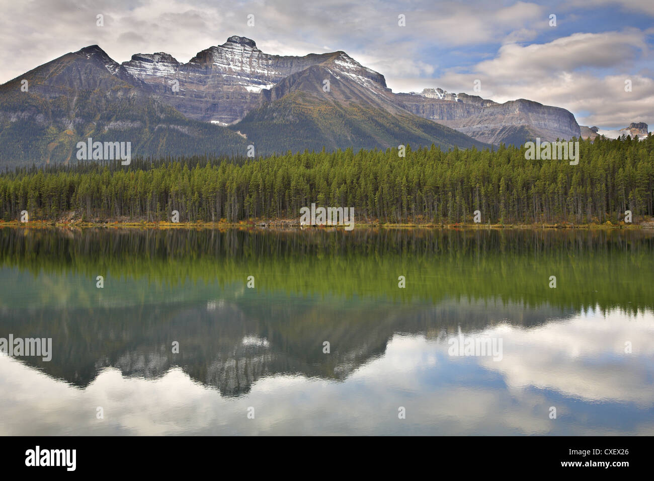 Montagne, bois et lac. Banque D'Images
