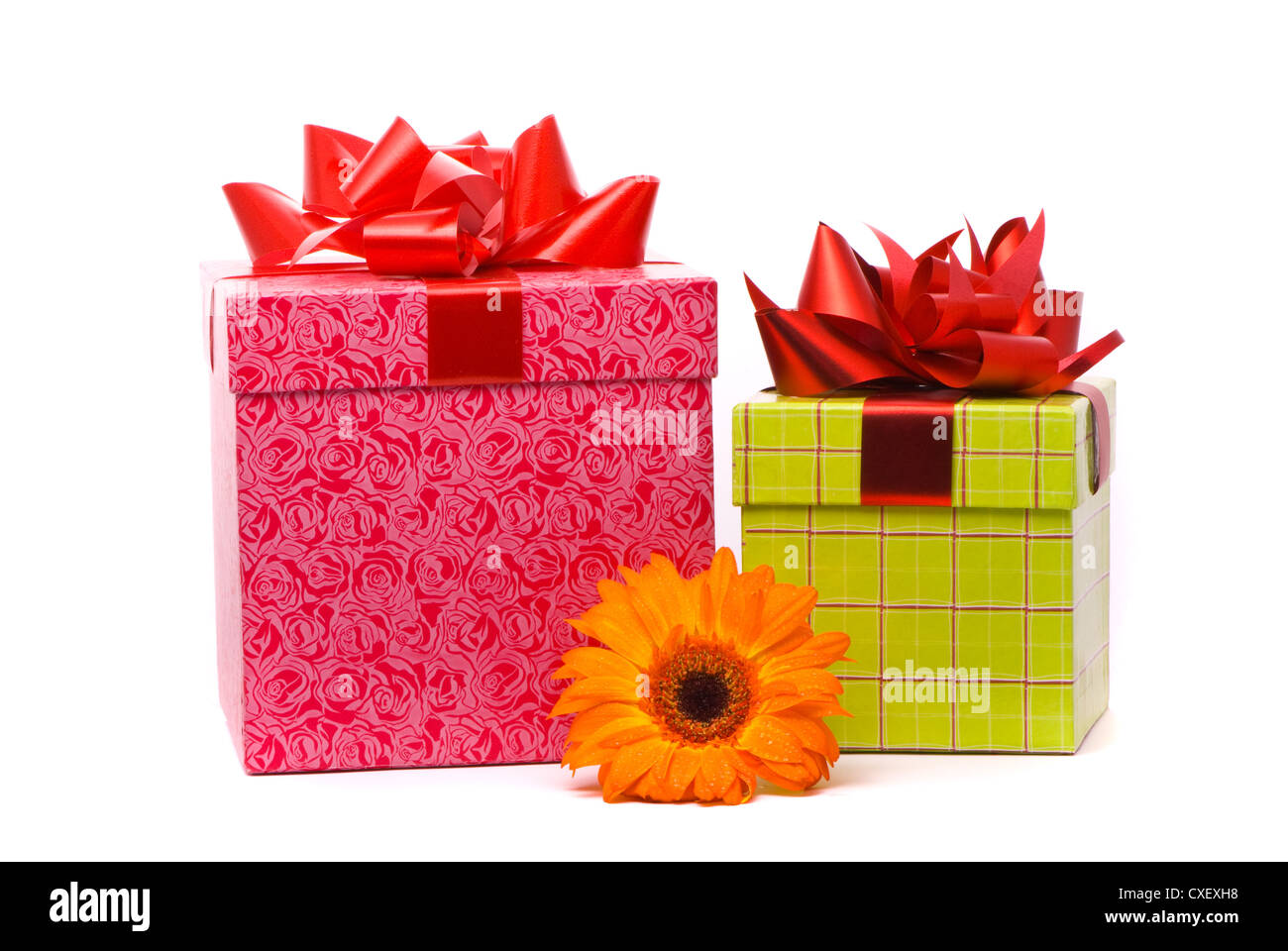 Gerber Orange Fleur et coffrets cadeaux sur fond blanc Banque D'Images