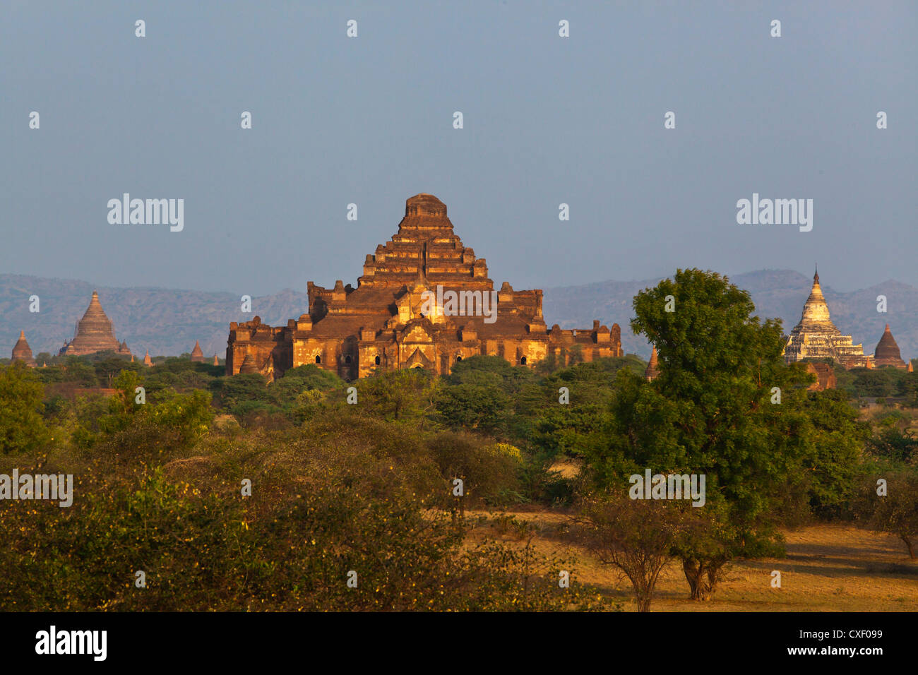 Le 12e siècle DHAMMAYANGYI PAHTO ou temple est le plus grand de Bagan et a probablement été construit par Narathu - Myanmar Banque D'Images