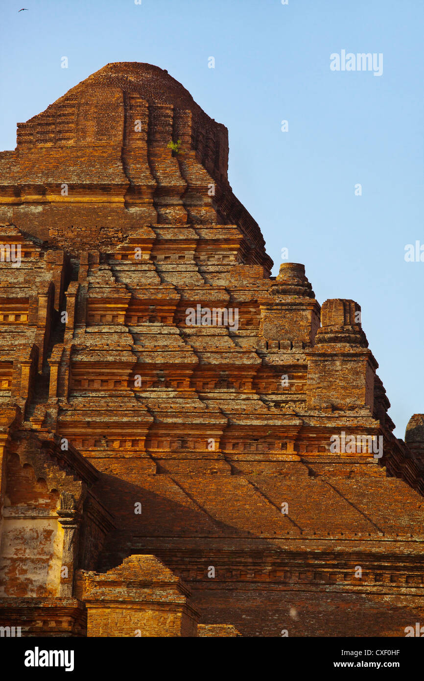 Le 12e siècle DHAMMAYANGYI PAHTO ou temple est le plus grand de Bagan et a probablement été construit par Narathu - Myanmar Banque D'Images