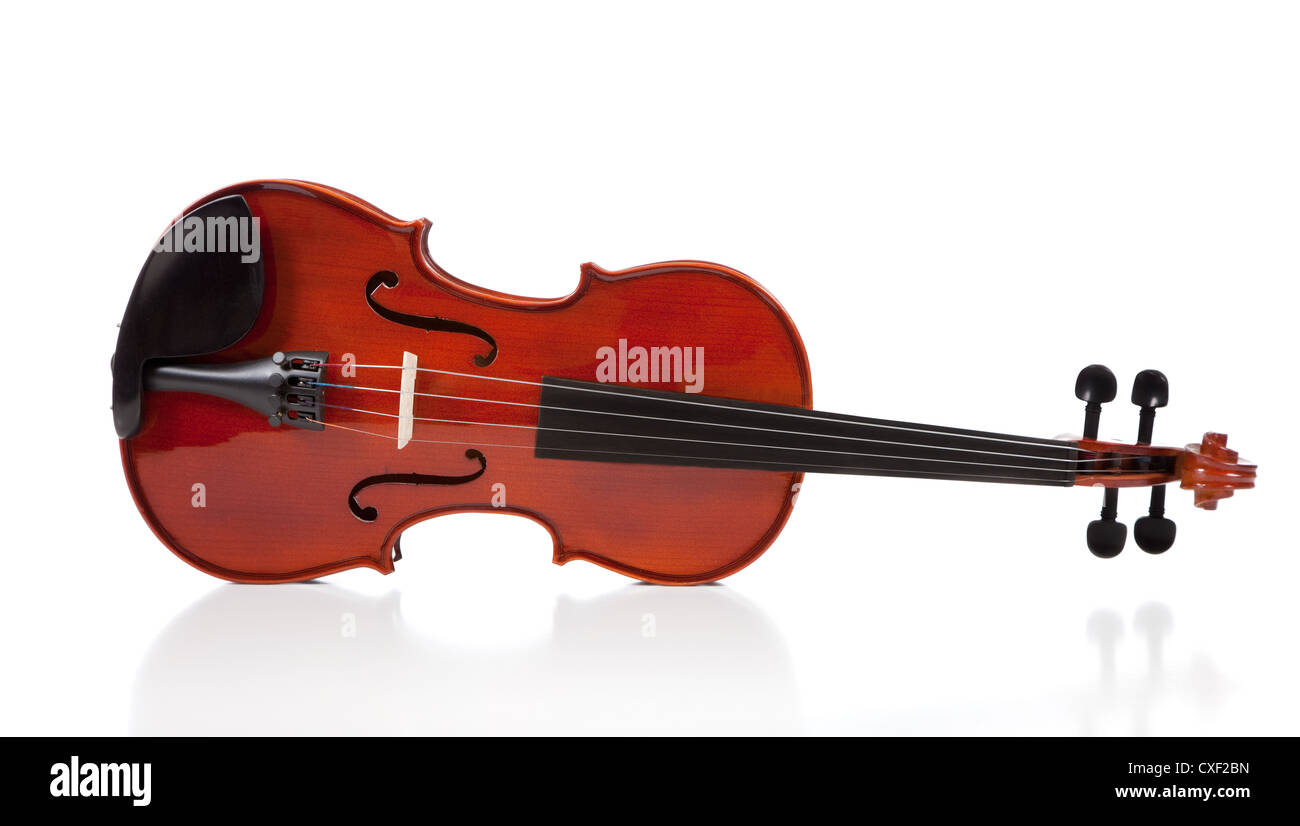 Violon sur fond blanc Banque D'Images