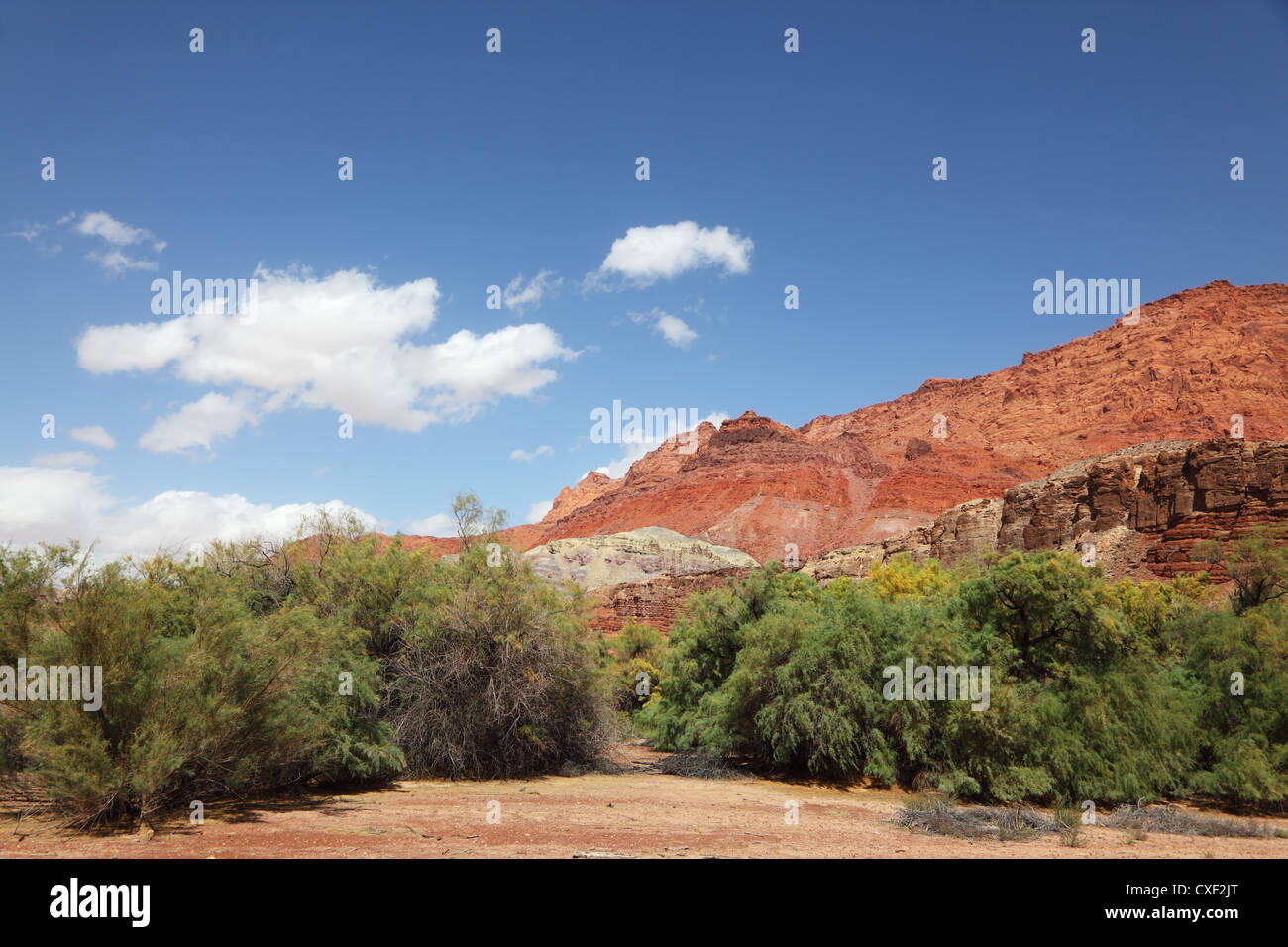 Les falaises rouges et vertes forêts Banque D'Images