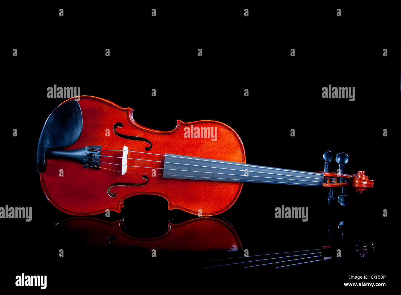 Violon sur fond noir Banque D'Images