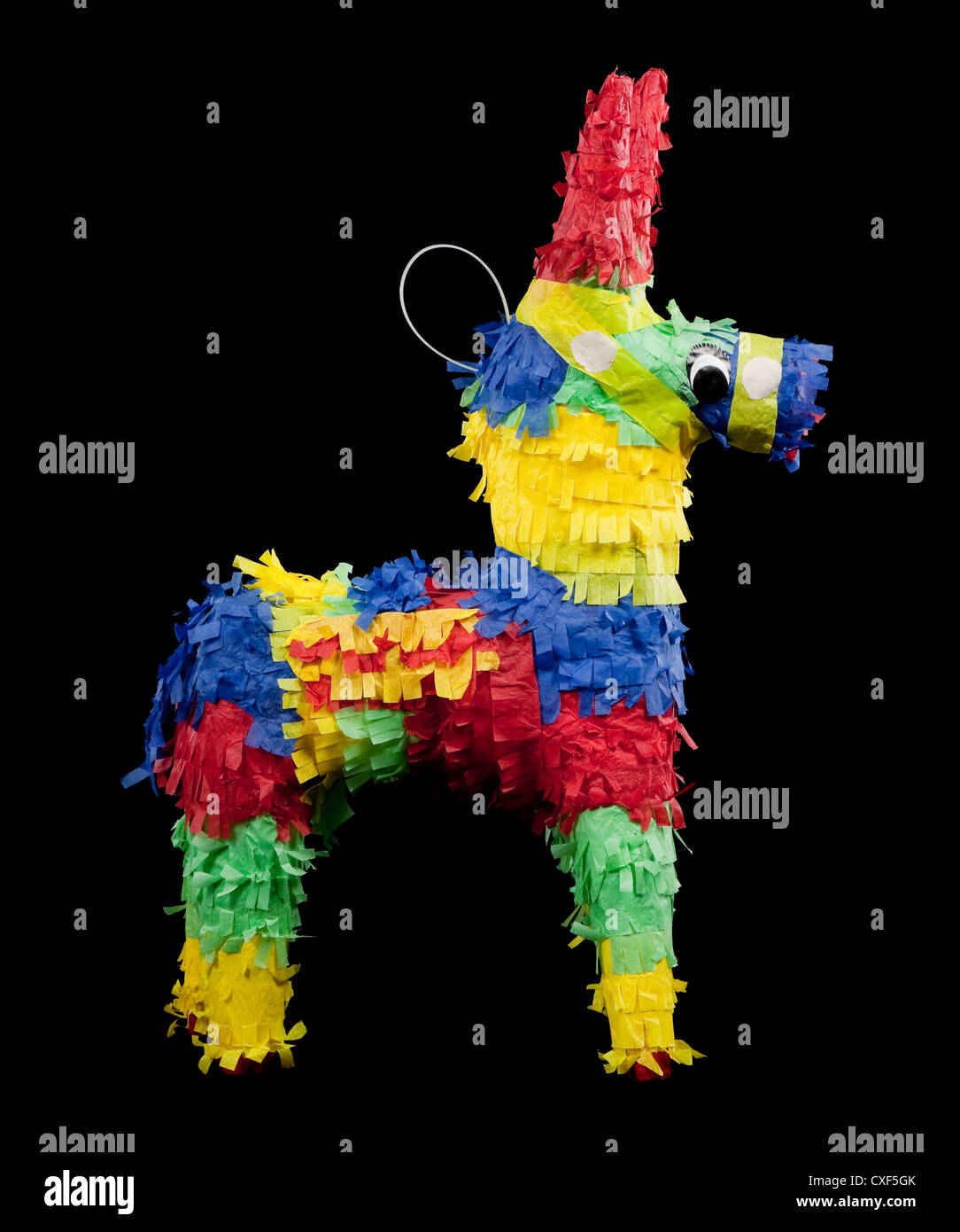 Piñata burro de couleurs vives sur fond noir Banque D'Images
