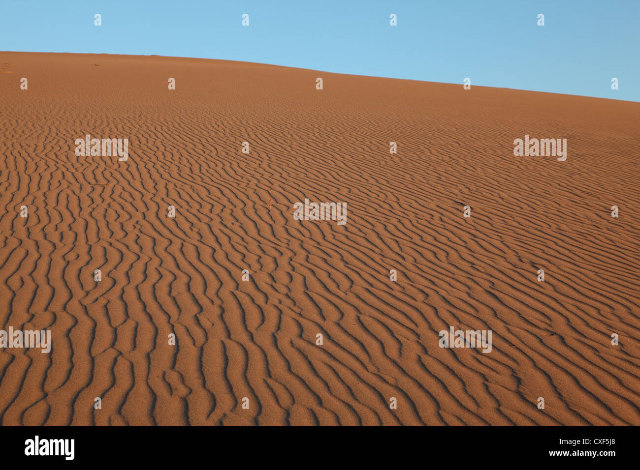 Dunes de sable de Mesquite Télévision Banque D'Images