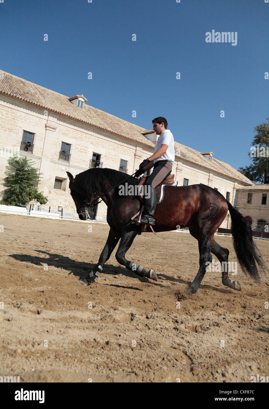 L'Caballerizas Reales, 16e siècle écuries royales à Cordoba Andalousie Espagne où affiche de circonscription sont tenues Banque D'Images