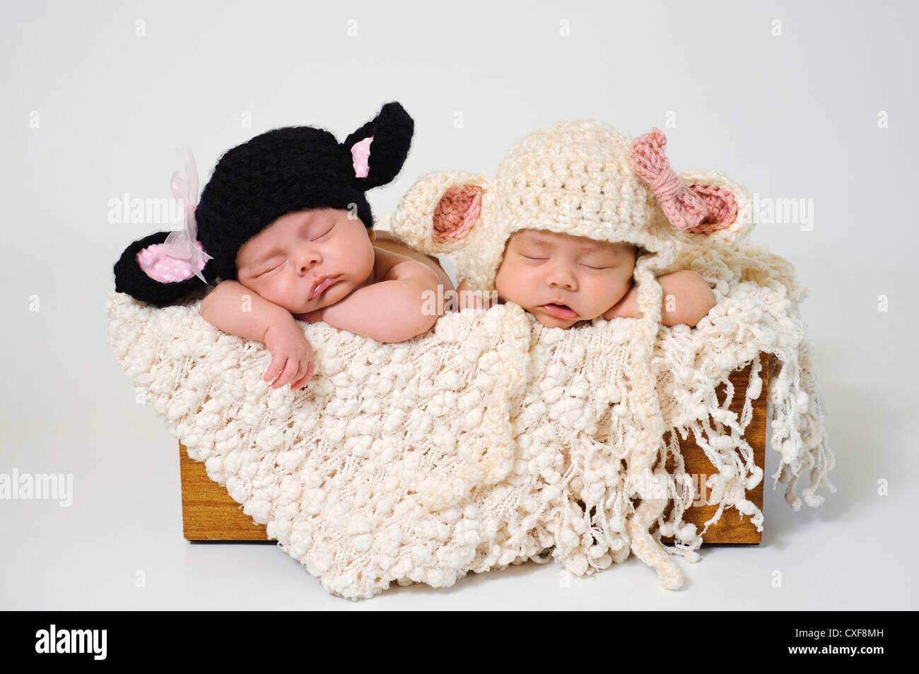 Adorable Bebe Deux Jumelles Les Jumeaux Identiques Mignon Assis Sur L Entraineur Photo Stock Alamy