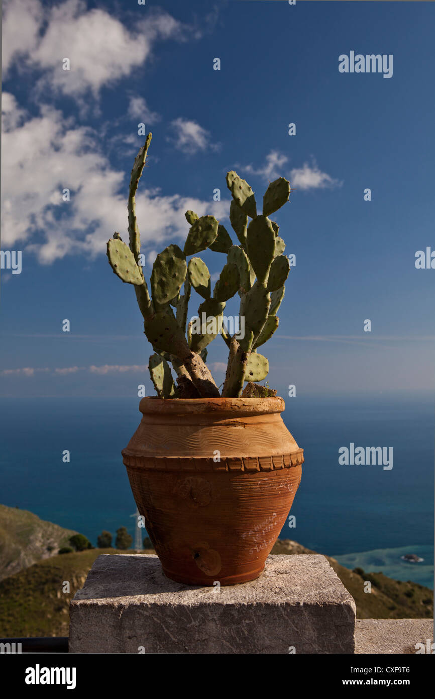 Terre cuite pot d argile cactus ciel bleu mer bleue Banque de photographies et d images haute r solution