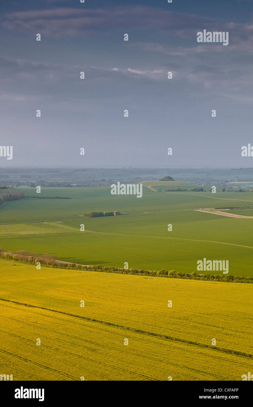 Aube lumière sur une misty vale de Pewsey de Knapp Hill. Banque D'Images