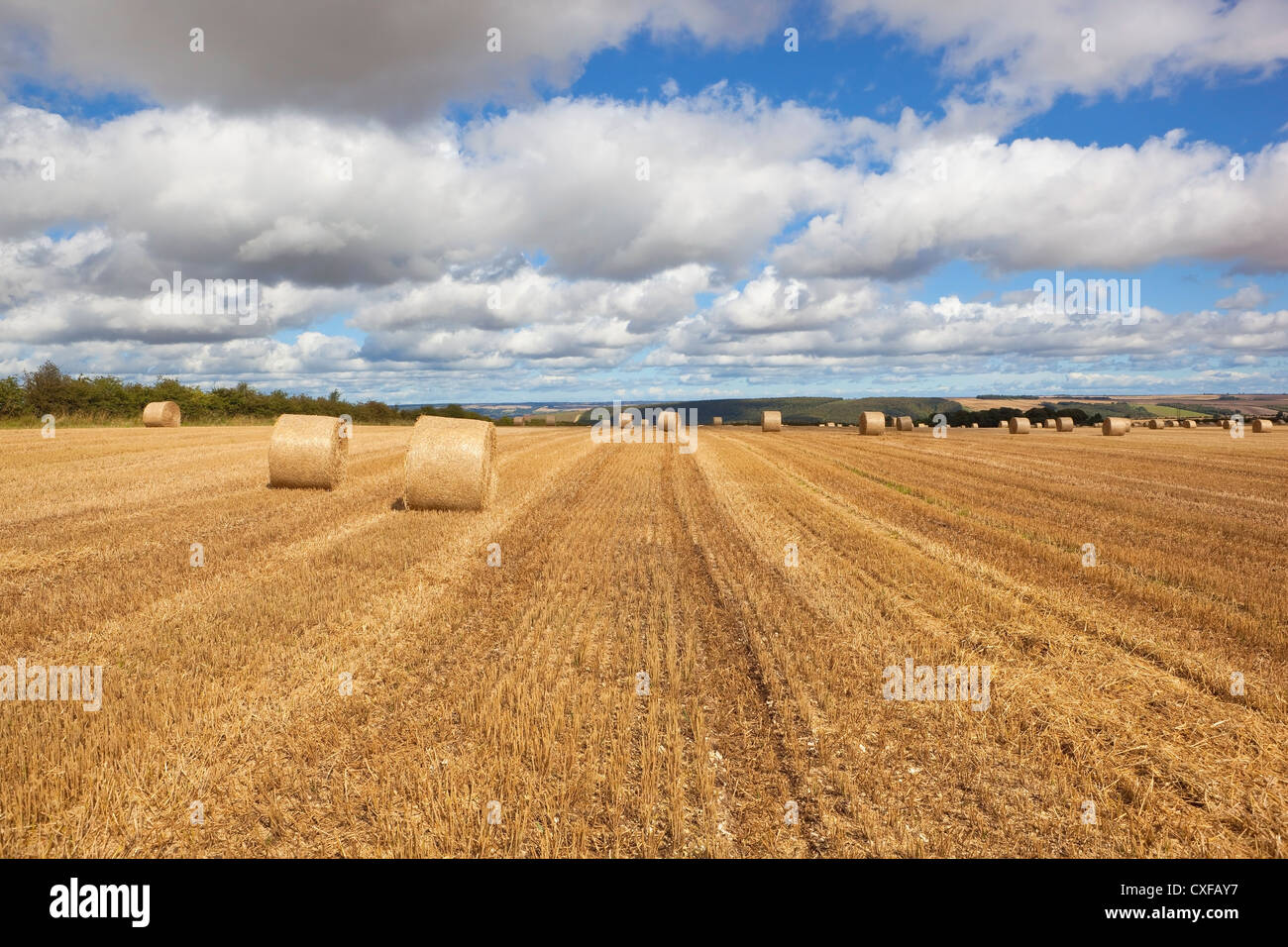 Tour de bottes de paille dans un champ de chaume sous un ciel nuageux sur l'english channel Angleterre Banque D'Images