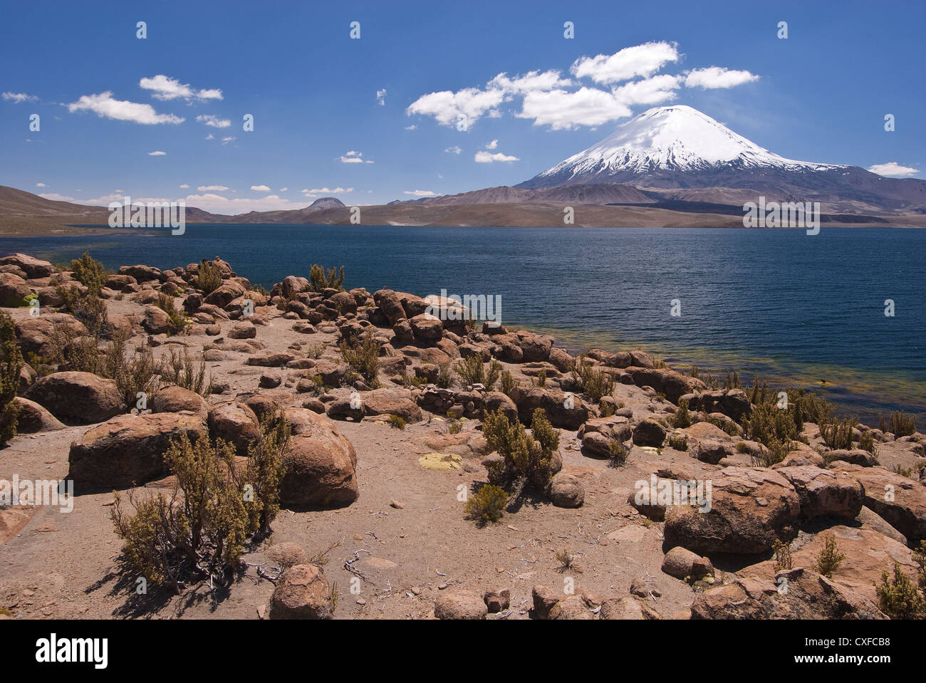 Elk198-2591 Chili, parc de Lauca, Volcan volcan Parinacota, 6330 m, à travers Lago Chungara Banque D'Images