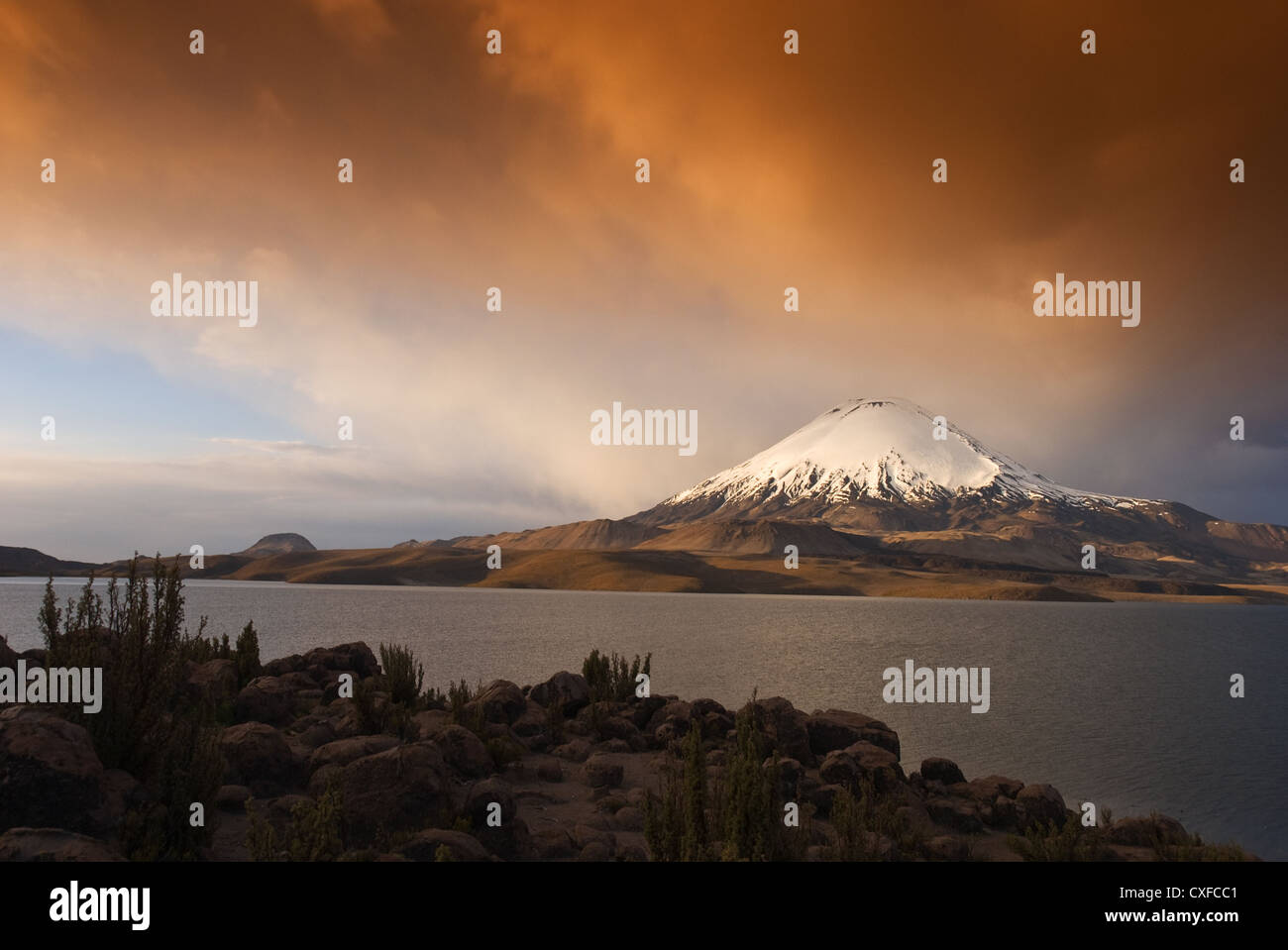 Elk198-2598 Chili, parc de Lauca, Volcan volcan Parinacota, 6330 m, à travers Lago Chungara Banque D'Images