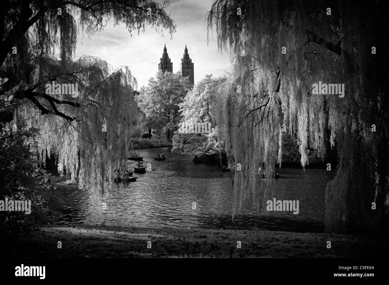 Noir et blanc photo de Central Park, New York City Banque D'Images
