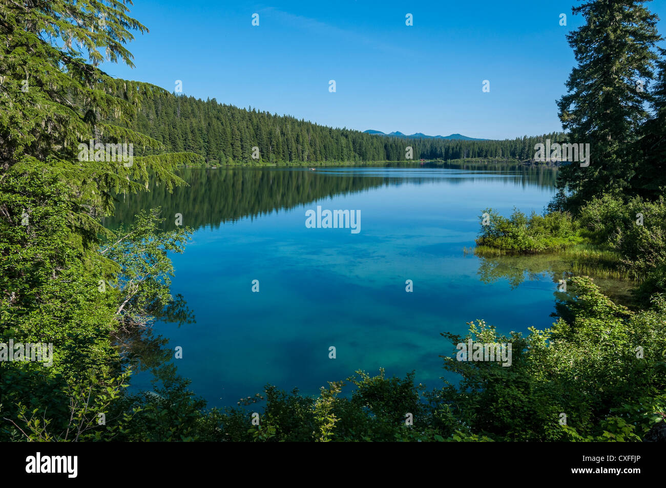Lac Clair, forêt nationale de Willamette, Oregon. Banque D'Images