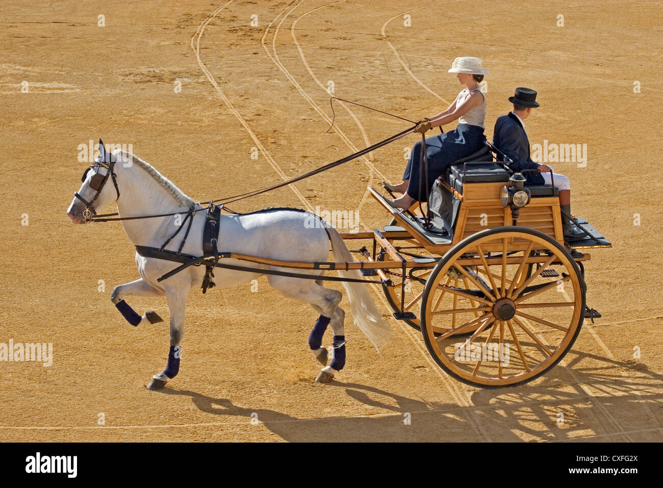 Les captures de la concurrence nationale juste fuengirola Costa del sol malaga andalousie espagne concurso nacional enganches feria Andalucia Banque D'Images