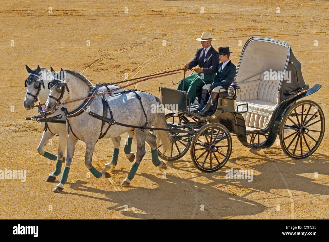 Les captures de la concurrence nationale juste fuengirola Costa del sol malaga andalousie espagne concurso nacional enganches feria Andalucia Banque D'Images