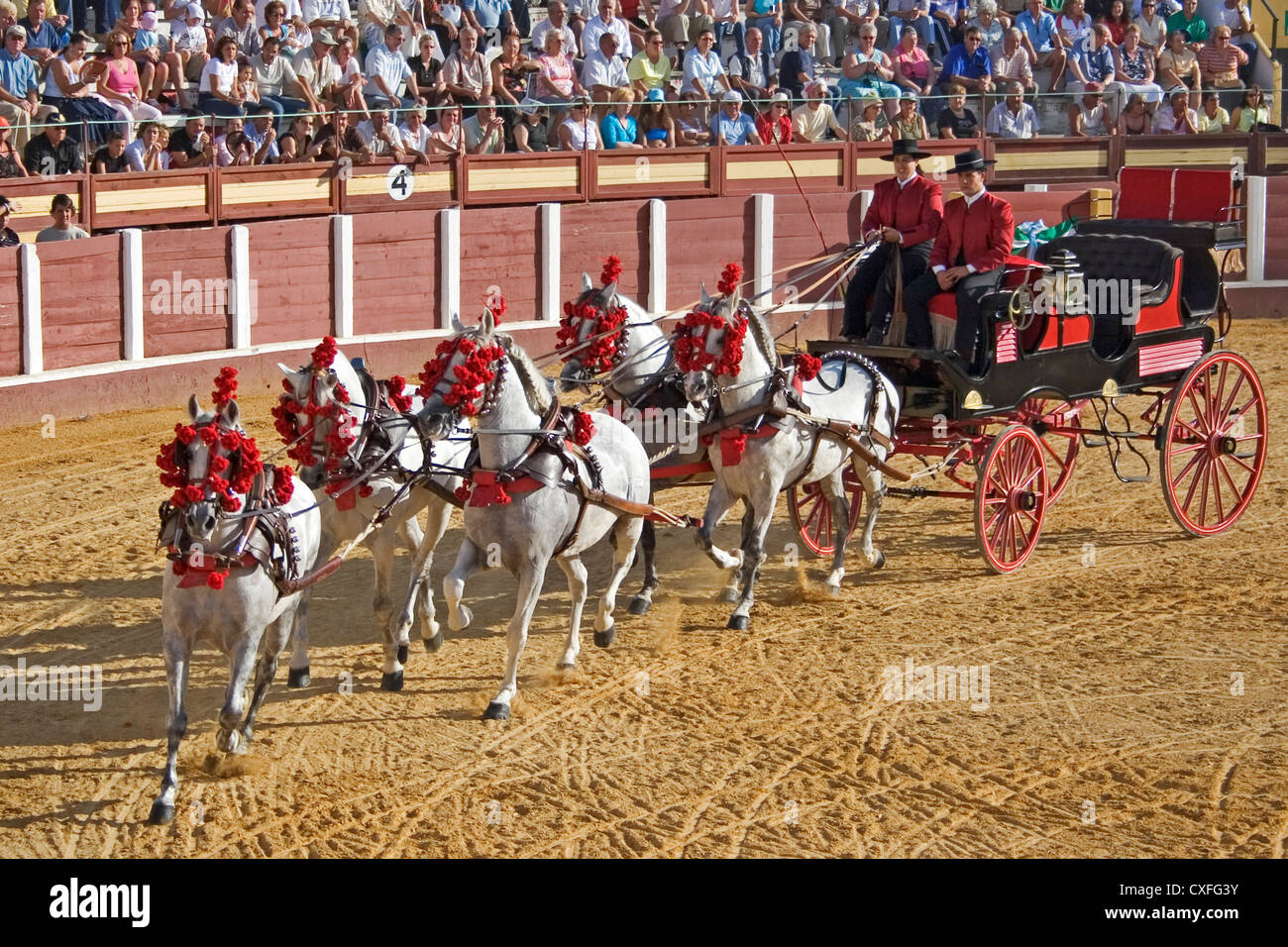 Les captures de la concurrence nationale juste fuengirola Costa del sol malaga andalousie espagne concurso nacional enganches feria Andalucia Banque D'Images