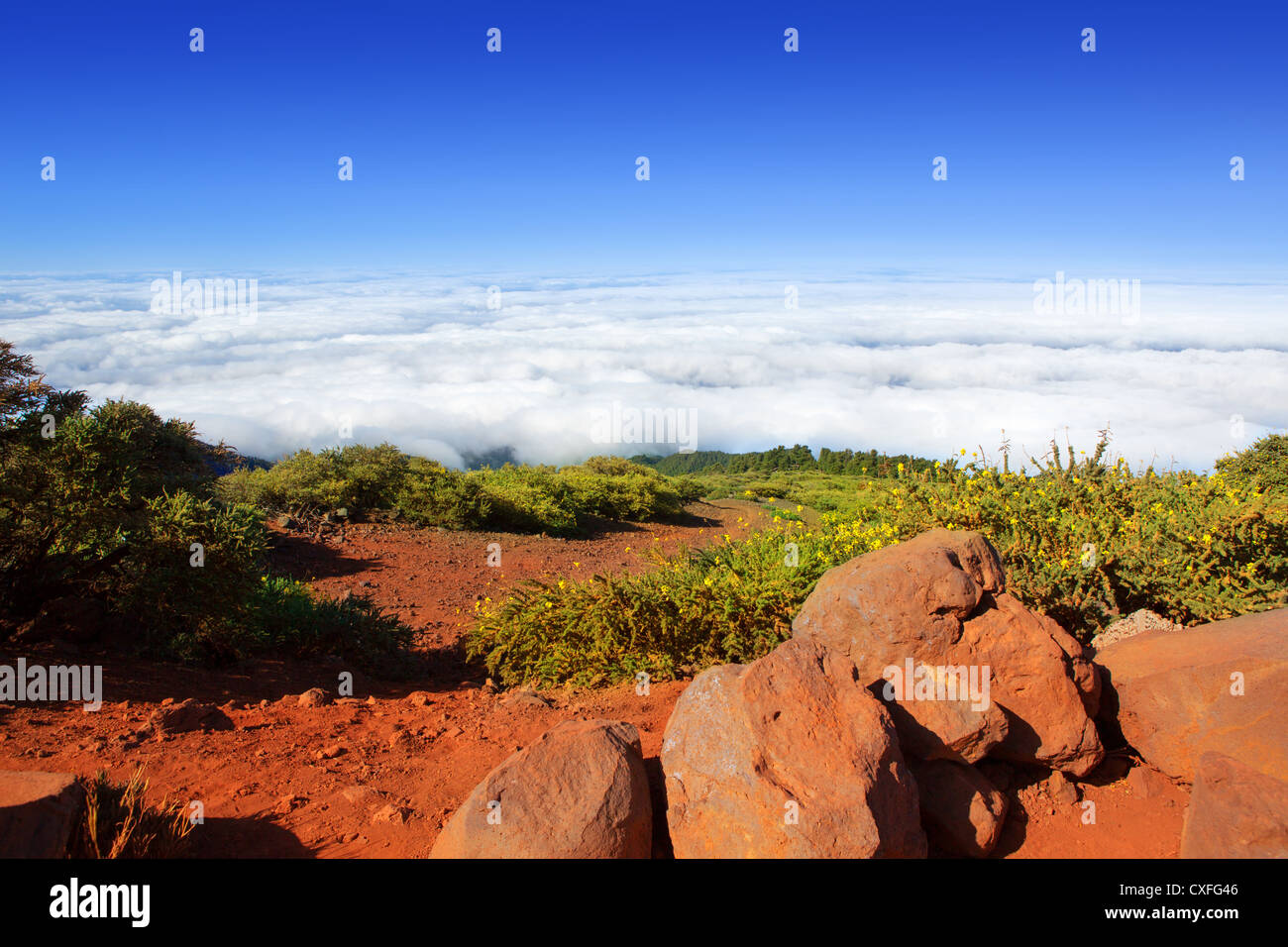 Caldera de Taburiente mer de nuages à La Palma, Îles Canaries Banque D'Images