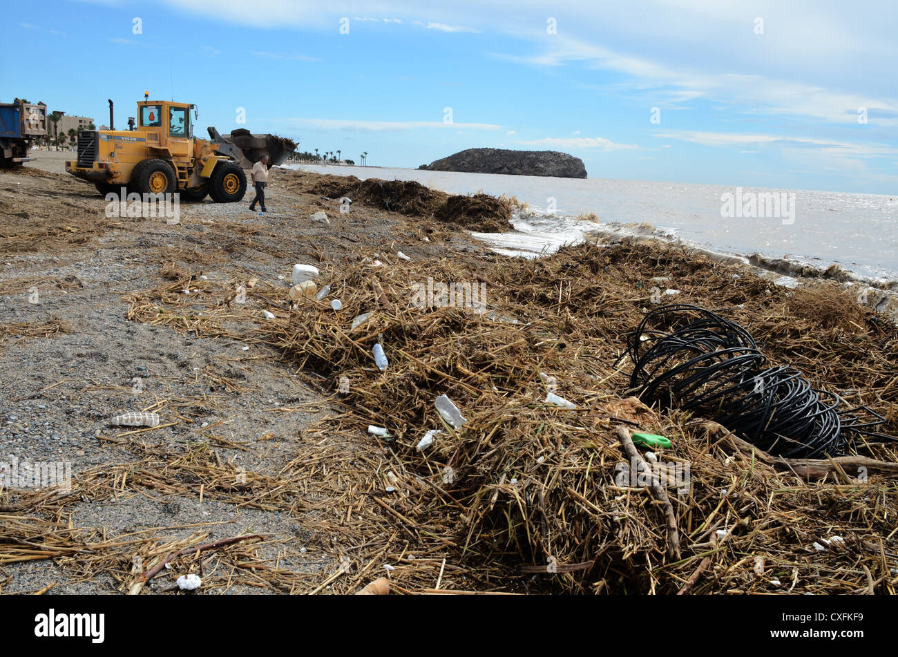 Nettoyage de plage après la tempête Banque D'Images