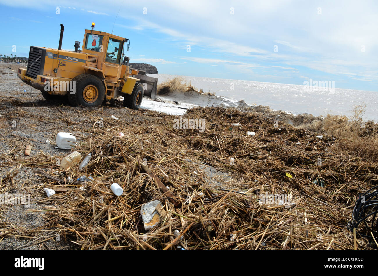 Nettoyage de plage après la tempête. Sept 2012 Banque D'Images