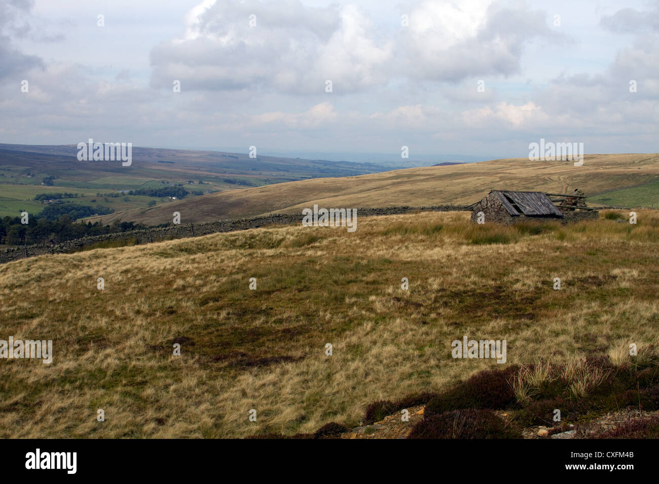 Vue sur North Pennines du Quickcleugh Moss Banque D'Images