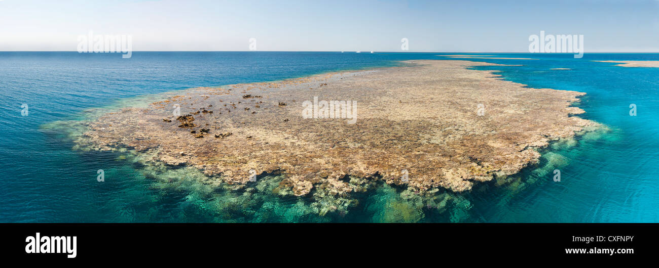Vue panoramique d'un récif de coraux tropicaux dans la mer Banque D'Images