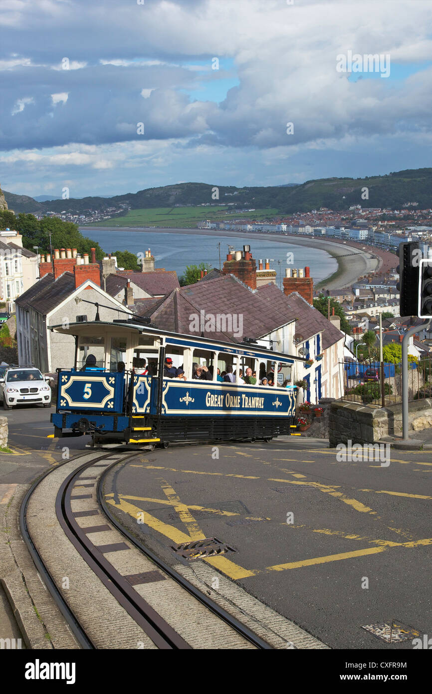 Transport tram bleu en été, soleil, Tramway de Great Orme, la baie de Llandudno, au nord du Pays de Galles, UK, FR, British Isles, Europe Banque D'Images