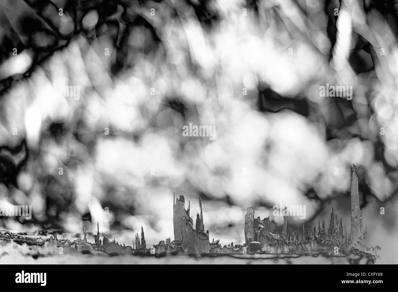 Wald im Herblische Stimmung.Détail de la bois Banque D'Images