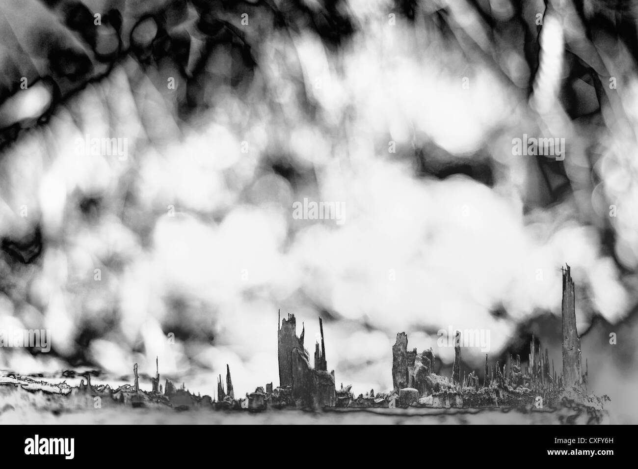 Wald im Herblische Stimmung.Détail de la bois Banque D'Images