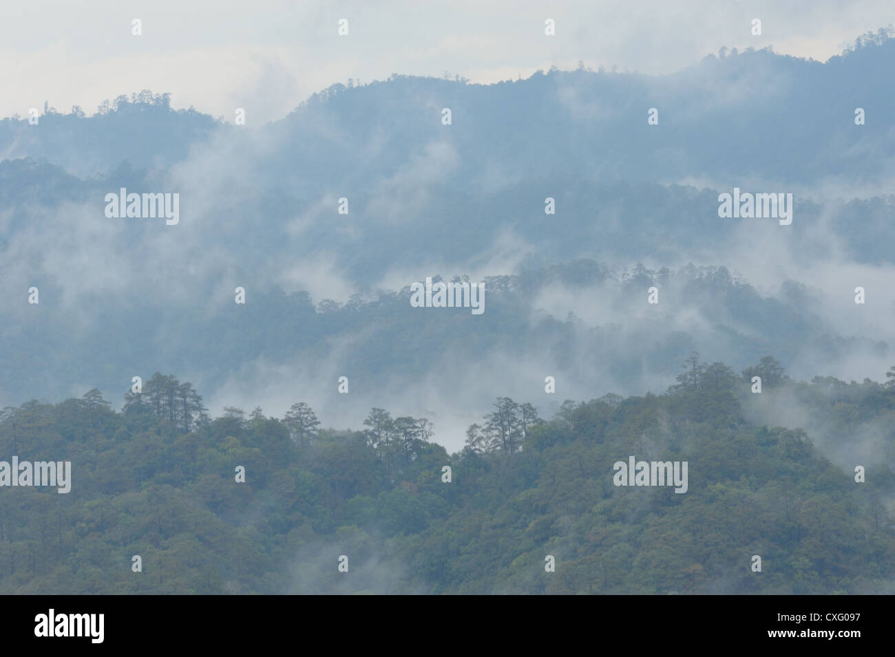 Belle vue montagne, nature, paysage, brume Banque D'Images