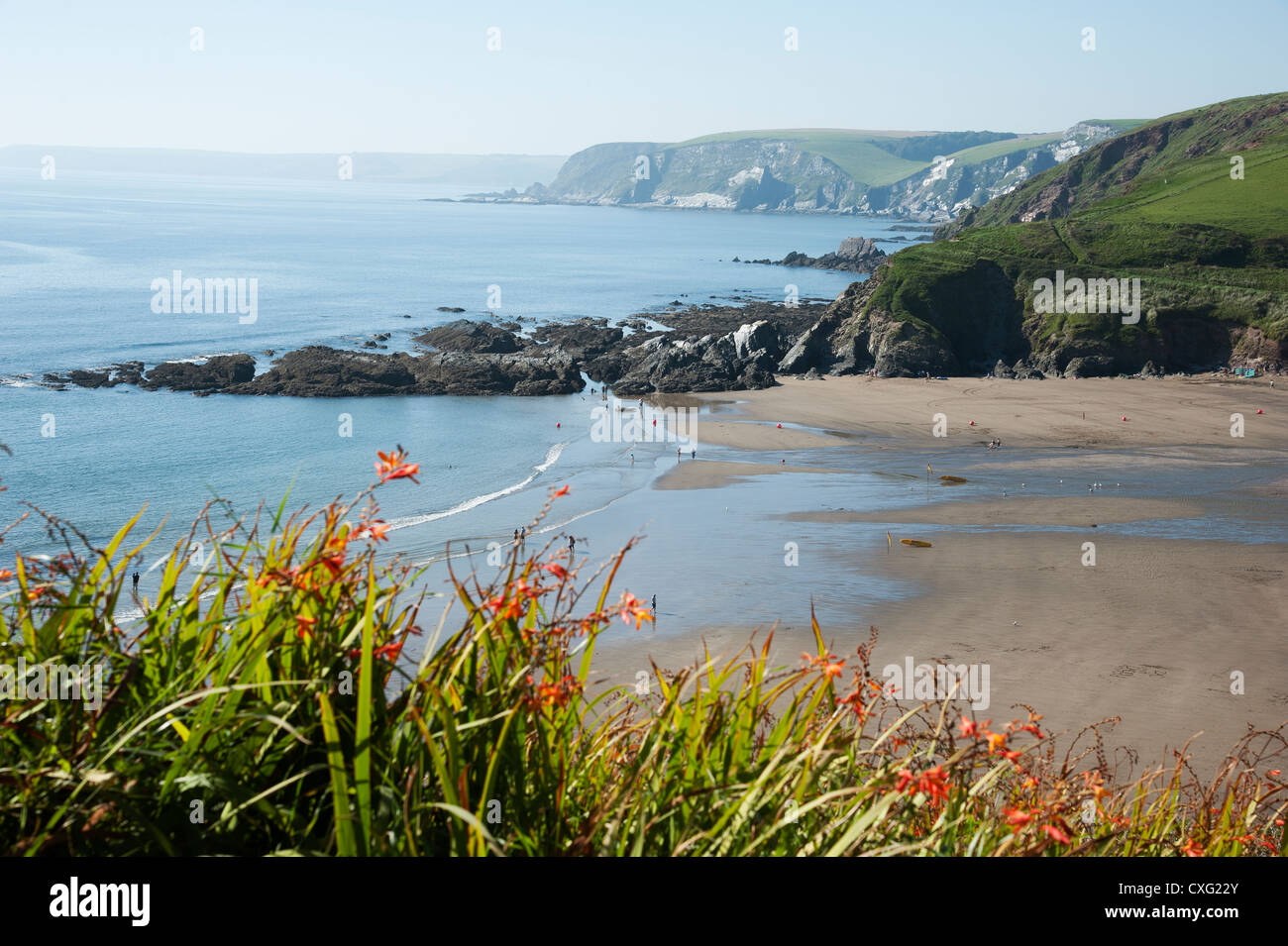 Challaborough Beach sur la côte sud du Devon England UK Banque D'Images