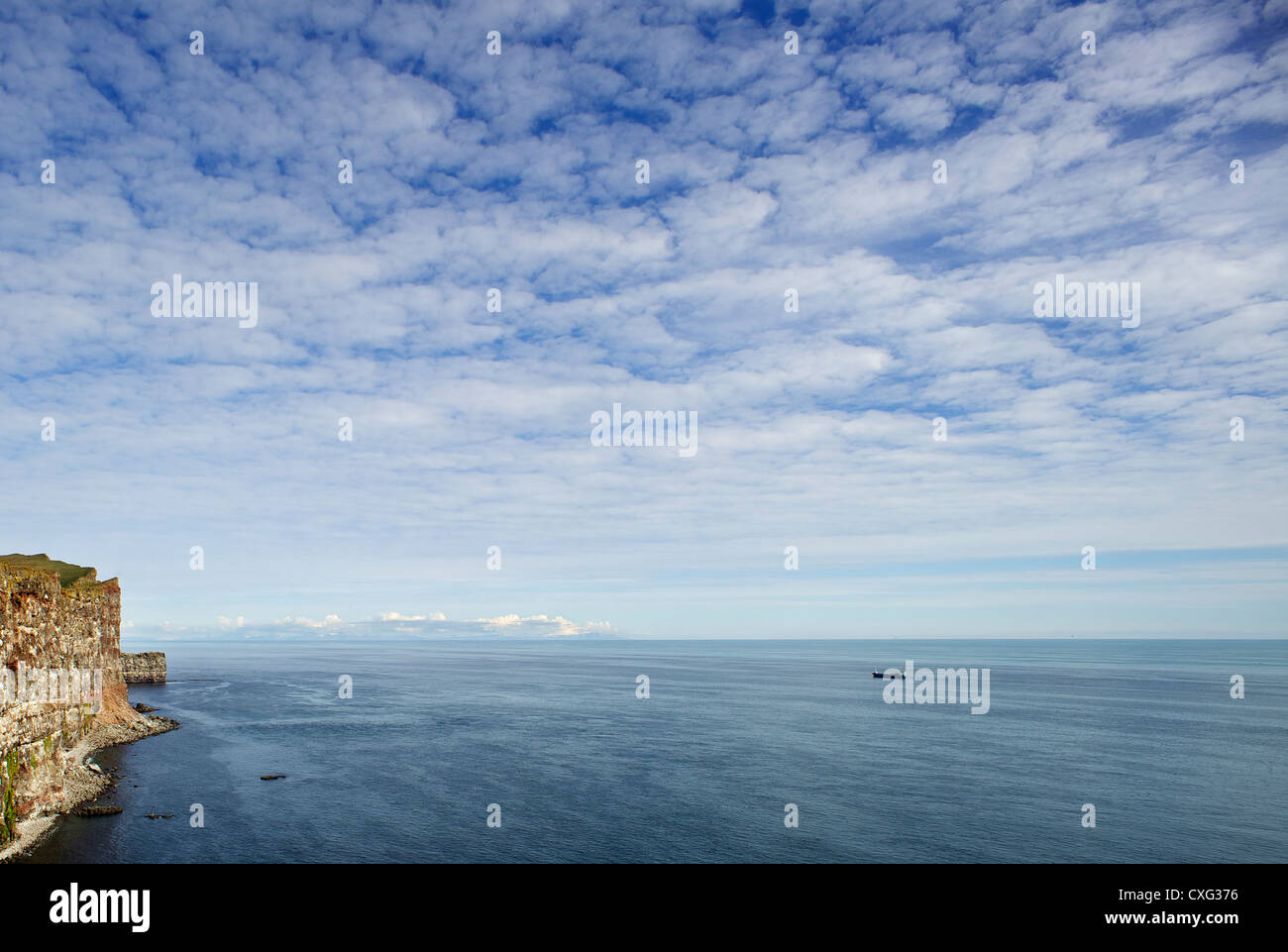 Látrabjarg, la plus haute falaise maritime d'Europe Banque D'Images