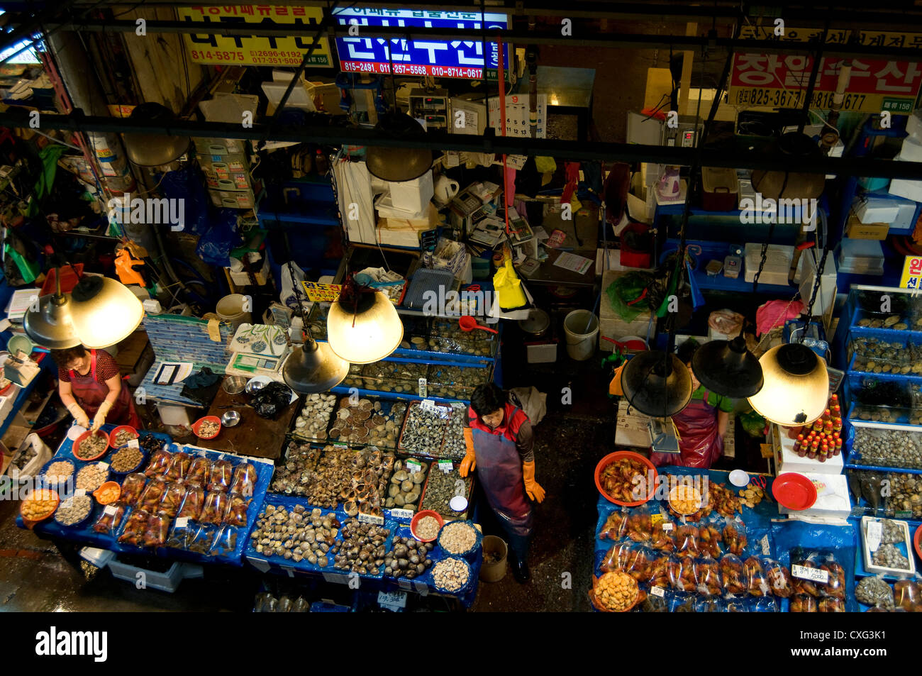 Le marché aux poissons de Noryangjin, plus grand marché de poisson de Séoul, Séoul, Corée. Banque D'Images